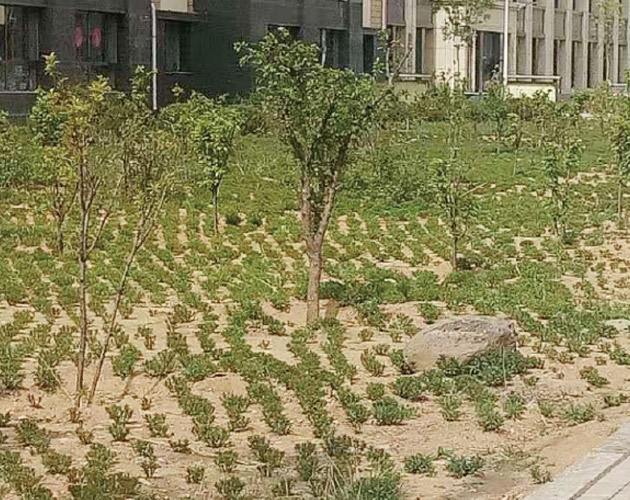 包頭棚戶區(qū)改造,住宅及社區(qū)內(nèi)道路、園林綠化、亮化工程